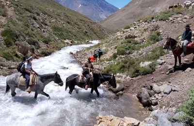 Cruce de río a caballo acompañados por guías en la Cordillera de los Andes